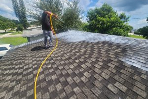 Roof Shingle Rejuvination – Sanchez (Fort Lauderdale, Florida)