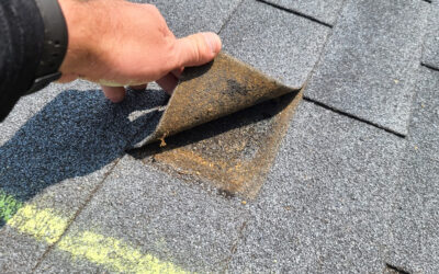 Signs Your Roof Could Benefit from Roof Rejuvenation…