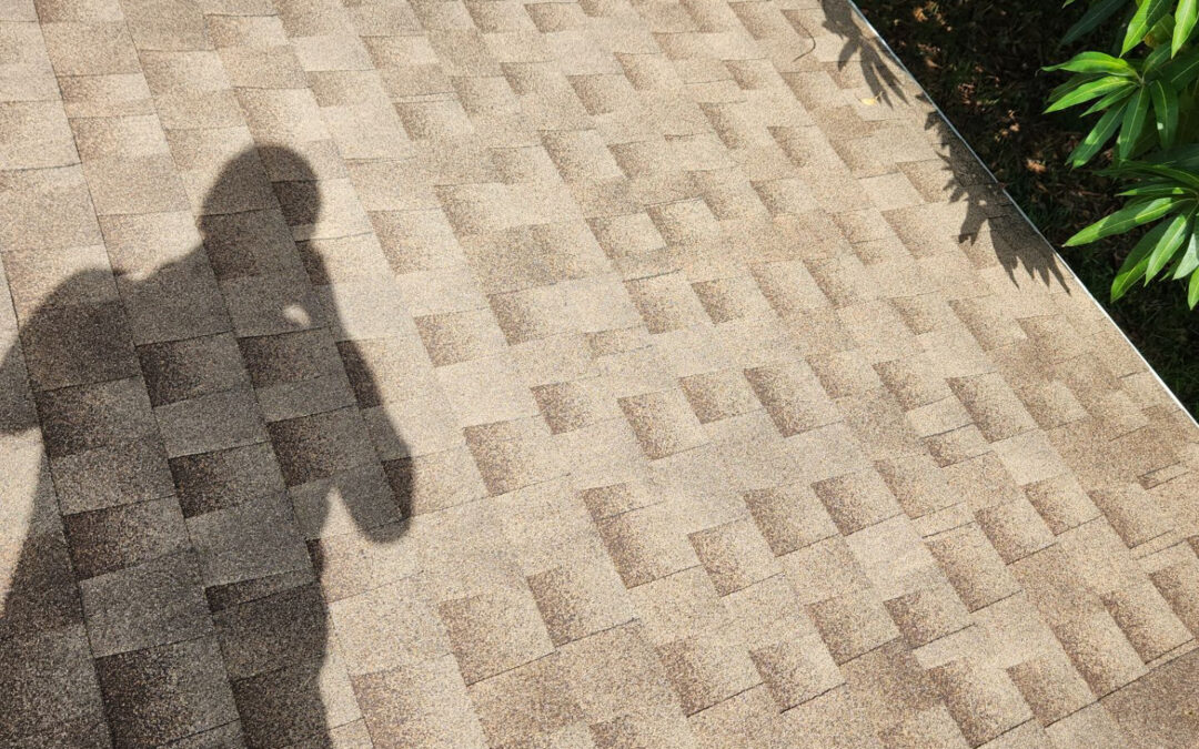 LaSharma – Roof Rejuvenation (Miami Gardens, Florida)