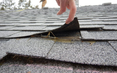 10 Affordable Alternatives to Costly Roof Replacements…