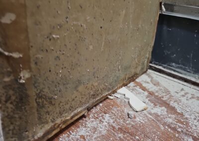 McEwan – Mold Remediation (Coral Springs, Florida)